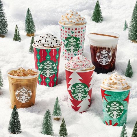 Starbucks Seasonal Drinks, Chestnut Praline Latte, Toasted White Chocolate Mocha, Minuman Starbucks, Caramel Brulee Latte, Starbucks Coffee Cups, Starbucks Holiday Drinks, Drinks Packaging, White Chocolate Mocha