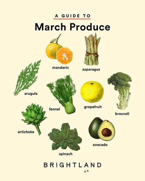 All Posts • Instagram March Produce, Seasonal Produce Guide, Homemade Cookbook, Champagne Vinegar, Happy March, Seasonal Cooking, Lemon Olive Oil, Seasonal Produce, Love Simple