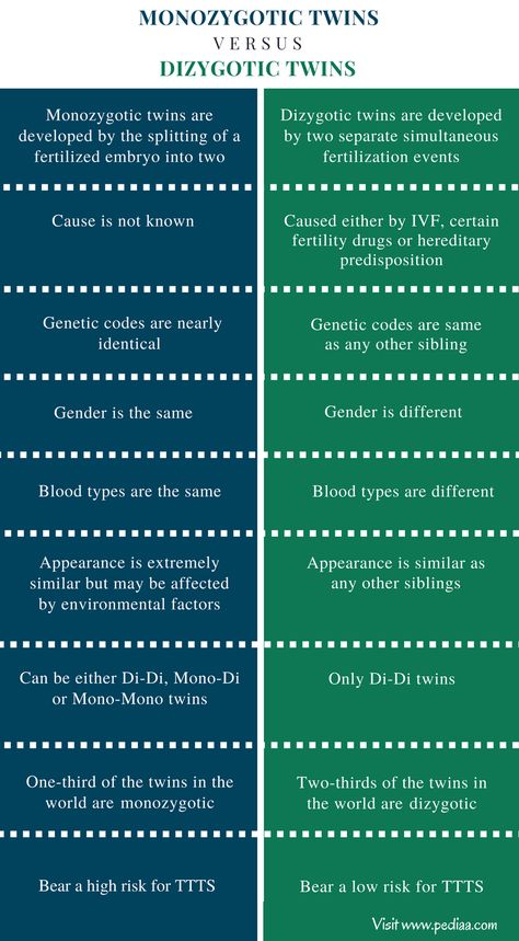 Difference Between Monozygotic and Dizygotic Twins - Comparison Summary Dizygotic Twins, Cell Biology Notes, Learn Biology, Basic Anatomy, Physics Formulas, Basic Anatomy And Physiology, Study Tips For Students, Medical Student Study, Biology Art