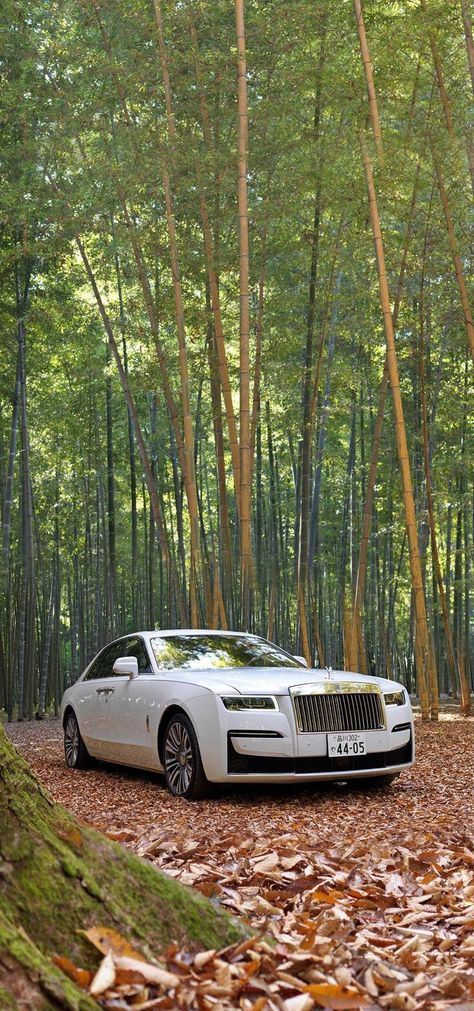 A Rolls-Royce is more than a motor car. It is a work of art, hand-made to order exclusively for you, by our team of highly skilled craftspeople and designers. Whatever you imagine your ideal motor car to be, bring your unique vision to life with Rolls-Royce Bespoke.
#rolls-royce #supercar #luxurycar #vipcar #v12 #sportscar #mostpowerfulcar #car #rich #miami
#rich Splendor Plus Bike Photo, Aesthetic Car Accessories, Rolls Royce Wallpaper, Moto Wallpapers, Tokyo Drift Cars, Hd Photography, Rich Cars, Dj Images Hd, Tokyo Drift