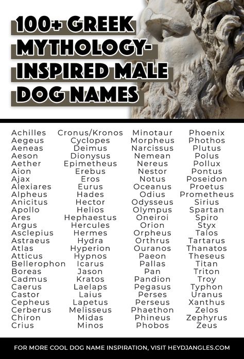 From Zeus to Titan, Apollo, Hades, Morpheus, Sirius and more, check out 100+ inspiring Greek god names, and Greek mythology-inspired names for male dogs right here! Male Gods Names, God Names Ideas, Names From Greek Mythology, Greek Gods Names And Meanings, Norse God Names, Greek Mythology Inspired Names, Male Greek Gods Names, Male Mythology Names, Greek Gods Male