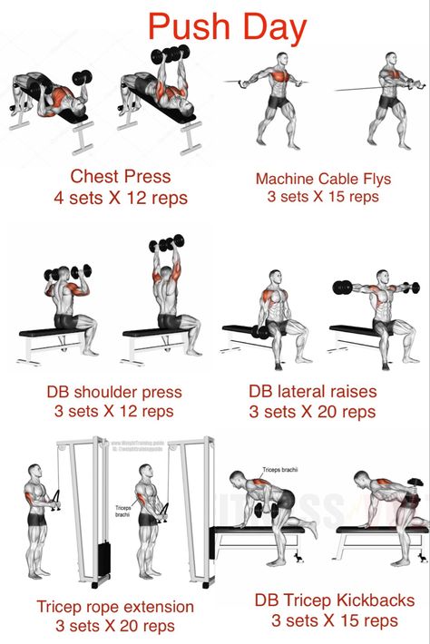 Push Pull Workout Routine, Push Pull Legs Workout, Push Day Workout, Arm Day Workout, Push Pull Workout, Pull Day Workout, Workout Gym Routine, Gym Workout Guide, Push Workout