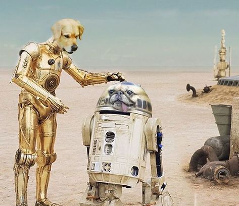 C3po And R2d2, Star Wars Droids, Star Wars R2d2, Star Wars Day, Star Wars Film, Disney Music, Star Wars Ships, Star Wars Wallpaper, Star Wars Pictures