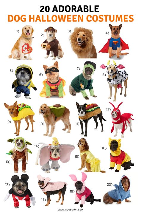 These adorable dog costumes are so cute! I do not know which one to buy for my dogs this year!! Halloween is so fun because it means you get to buy a costume for your dog! Dog Pair Costumes, Puppy Custome Halloween, Puppy Costumes Halloween, Halloween Ideas For Dogs, Maltipoo Halloween Costumes, Dog Hollowed Costumes, Mom And Dog Costumes, Puppy Costume For Dogs, Trio Halloween Costumes With Dog