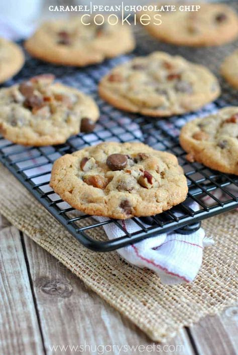 Caramel Pecan Chocolate Chip Cookies - a decadent twist on a classic cookie! You'll love the infusion of buttery caramel and nutty flavor in these chewy cookies. Carmel Pecan Chocolate Chip Cookie, Chocolate Chip Cookies Chewy, Turtle Cookies Recipe, Caramel Pecan Cookies, Pecan Chocolate Chip Cookies, Carmel Chocolate, Cookies Chewy, Pecan Chocolate, Chocolate Chip Pecan Cookies