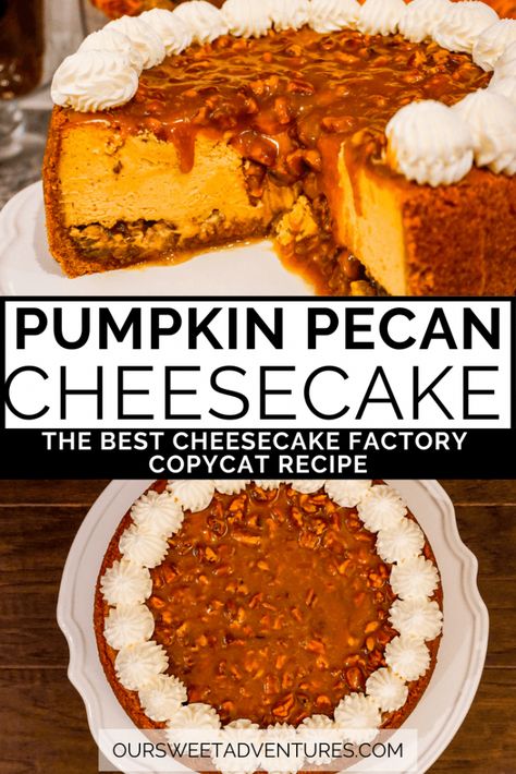 Learn how to make the BEST FALL DESSERT - a Pumpkin Pecan Cheesecake. This decadent dessert combines 3 favorites - pecan pie, pumpkin pie, and cheesecake. You have graham cracker crust, pecan pie filling, pumpkin cheesecake, pecan caramel, and whipped cream...yumm!!! This Cheesecake copycat recipe has step by step directions so you can bake the perfect dessert this holiday season. Cheesecake Factory Pumpkin Pecan, Pumpkin Pecan Cheesecake Factory, Pecan Pie Pumpkin Cheesecake Recipe, The Best Pumpkin Cheesecake Recipe, Pumpkin Cheesecake With Pecan Topping, Cheesecake Factory Copycat Pumpkin Pecan Cheesecake, Pumpkin Cheesecake Pecan Pie, Pumpkin Pecan Pie Cheesecake, Pecan Pie Pumpkin Cheesecake