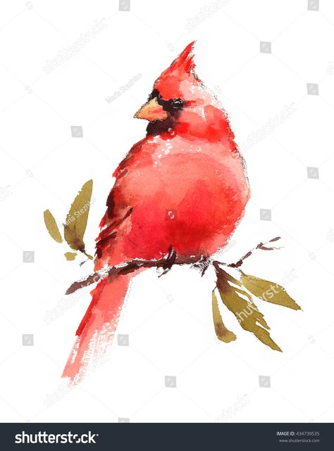 Watercolor Bird Red Cardinal Hand Painted Illustration isolated on white background Watercolor Red Cardinal, How To Paint A Red Cardinal, Cute Cardinal Drawing, Watercolor Cardinal Easy, Cardinal Watercolor Tattoo, Watercolor Cardinal Tutorial, Red Cardinal Watercolor Bird Paintings, Cardinal Watercolor Painting Easy, Cardinal Painting Easy