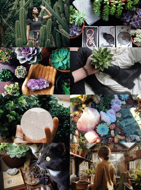 Nature Witch Aesthetic, Secret Witch, Healing Witch, Witch Aesthetics, Steampunk Witch, Witch Lighting, Celestial Witch, Crystal Witch, Nature Witch