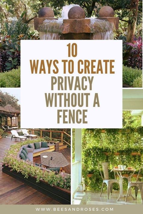 Explore 10 creative ways to add privacy to your outdoor spaces without the need for a traditional fence. These ideas utilize plants, screens, and strategic landscaping to enhance your privacy. Non Fence Privacy Ideas, Garden Design Privacy, Black Chainlink Fence Ideas, Add Privacy To Front Yard, Large Backyard Privacy Ideas, Small Garden Screening Ideas, Split Fence Ideas, Sidewalk Privacy Landscaping, 6 Ft Privacy Fence Ideas