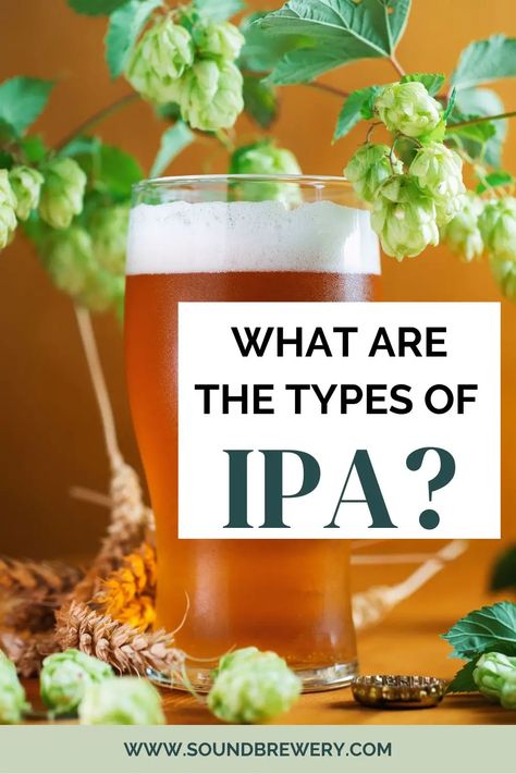 India Pale Ale, or IPA, is a popular beer style known for its unique brewing process and bitter taste. The hoppy flavor of IPAs defines typical Indian pale ales, yielding a wonderfully balanced flavor that is a favorite on the craft beer scene. | What Is the Difference in IPA Beers? | Types of IPA Beers | What’s the Most Popular IPA? | How to Choose a Great-Tasting IPA | #ipa #craftbeer #beer #craftbeerlife Ipa Recipe, Beer Types, Homemade Alcohol, Popular Beers, Homebrew Recipes, Ipa Beer, Brewing Process, India Pale Ale, Pale Ale