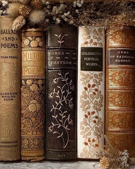 Light Academia Books, Victorian Literature, John Milton, Library Aesthetic, Vintage Book Covers, Personal Aesthetic, Bookish Things, Gloomy Day, Golden Glow