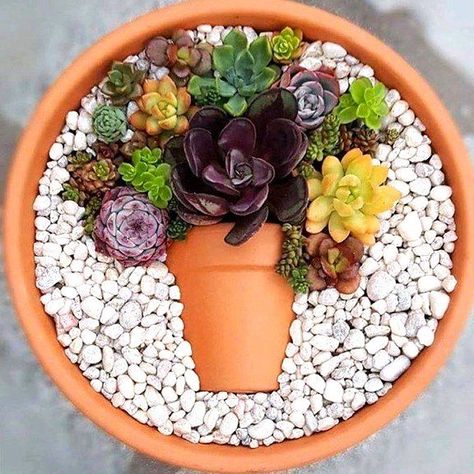 Kaktus Dan Sukulen, نباتات منزلية, Succulent Garden Design, Succulent Garden Diy, Dish Garden, Succulent Gardening, Mini Succulents, Succulent Terrarium, Succulents Diy