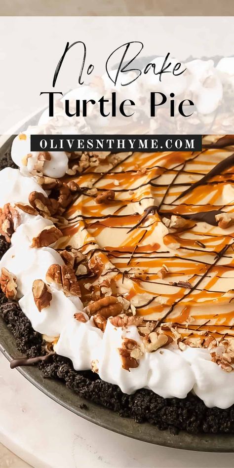 Turtle Pie Recipe No Bake Cookies And Cream Pie, Turtle Pie No Bake, No Bake Turtle Cheesecake Recipes, Turtle Gophers Recipe, Turtle Ice Cream Pie, New Pie Recipes, Turtle Cream Pie, Best Pies For Pie Auction, Drunken Turtle Pie Recipe