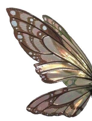 Fairy Wings Aesthetic, How To Make Wings, Green Fairy Wings, Pixie Wings, Desain Quilling, Pixie Hollow, Fairycore Aesthetic, Fairy Aesthetic, Butterfly Fairy