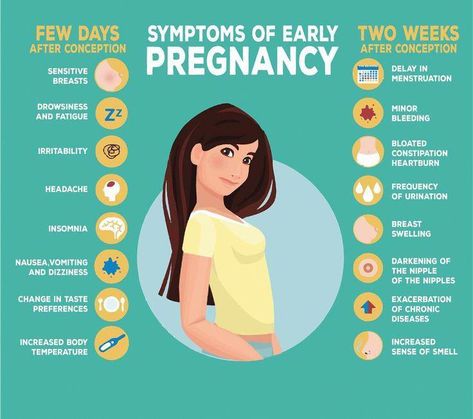 Pregnancy Symptoms By Week, Symptoms Of Pregnancy, Healthy Pregnancy Tips, Early Pregnancy Signs, Pregnancy Info, Fertility Health, Newborn Mom, Get Pregnant Fast, Fetal Development