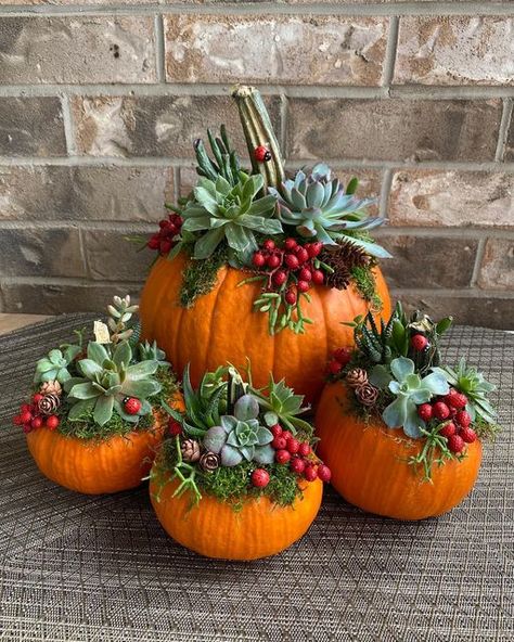 Inspiration Flowers on Instagram: "Happy Thanksgiving!🍁 #pumpkinsucculent #pumpkinarrangements #pumpkin" Pumpkin Succulent Centerpiece, Pumpkin With Flowers, Pumpkin Flowers, Floral Pumpkin, Thanksgiving 2024, Pumpkin Flower Arrangements, Diy Thanksgiving Decor, Thanksgiving Pumpkin Decorating, Pumpkin Bouquet