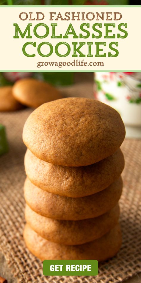 Old Fashioned Molasses Cookies, Soft Molasses Cookies, Spice Cookie Recipes, Molasses Recipes, Holiday Flavors, Bread Biscuits, Molasses Cookies Recipe, Soft Cookie Recipe, A Glass Of Milk