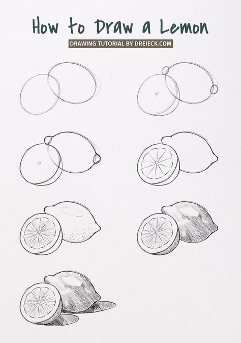 Let’s draw a lemon! Today I’ll show you a bulletproof way to draw one and a half lemon step by step. The only tools you will need are a simple pencil and a rubber. In fact, this tutorial is the perfect foundation to draw any kind of lemons or even other fruits with similar shapes! Sketching How To Step By Step, Draw Beginner Step By Step, Learn Art Step By Step, Draw Tips For Beginners, Chiaroscuro Drawing Easy, Basic Sketches For Beginners, Basic Of Drawing Step By Step, How To Sketch Step By Step, Learn How To Sketch For Beginners