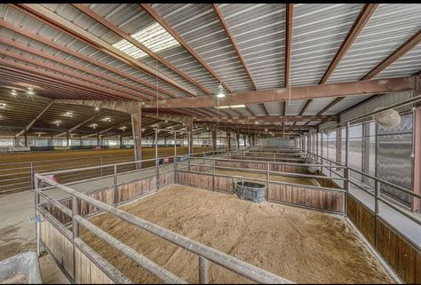 Arena With Stalls, Simple Horse Barns, Show Cattle Barn, Horse Farm Layout, Dream Barn Stables, Livestock Barn, Barn Layout, Cattle Barn, Horse Barn Ideas Stables