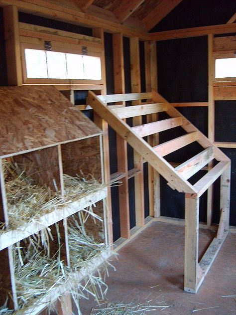 Laying boxes and sleeping latter. The staggered latter prevents hens from soiling one another while they roost at night in these boards. Chicken Nesting Box And Roost, Roosting Boxes For Chickens, 5x5 Chicken Coop Plans, Laying Hens Coop Ideas, Roost For Chicken Coop, 8x8 Shed Chicken Coop, Laying Box Ideas, Diy Laying Boxes, Hen Boxes Ideas