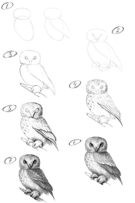 How to draw an owl with a pencil step-by-step drawing tutorial Owl Realistic Drawing, How To Sketch Animals Step By Step, Eagle Owl Drawing, How To Draw Realistic Animals Step By Step, How To Paint An Owl Step By Step, Realistic Cat Drawing Step By Step, Owl Drawing Tutorial, Animals Step By Step Drawings, Drawing Owls Easy Step By Step