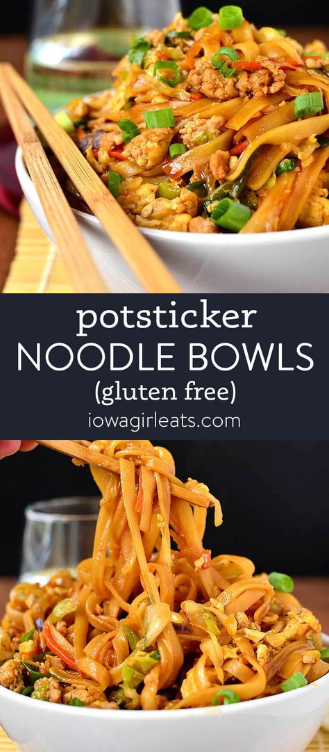 Potsticker Noodles, Gluten Free Chinese Food, Food Recipes Videos, Gluten Free Chinese, Gf Dinner, Chinese Food Recipes, Cookies Gluten Free, Dairy Free Dinner, Iowa Girl Eats