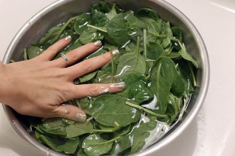 How to Cook Fresh Spinach the Healthy Way | LIVESTRONG.COM Cooked Spinach Recipes, Fresh Spinach Recipes, Cook Fresh Spinach, Spinach Side Dish, Spinach Recipes Healthy, Cooking Pork Roast, Steamed Spinach, Fresh Spinach, Leafy Vegetables