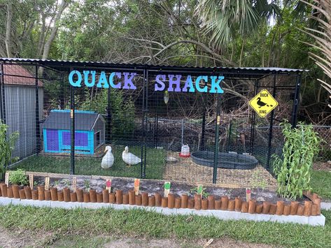 Duck pen with garden in front Mess Free Duck Pen, Duck Coop Ideas Backyards, Diy Duck Enclosure, Duck Enclosure Ideas, Backyard Livestock, Duck House Diy, Quack Shack, Duck Enclosure, Duck House Plans