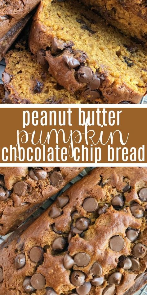 Peanut Butter Pumpkin Chocolate Chip Bread | Pumpkin Bread Recipe | Pumpkin | Peanut butter pumpkin chocolate chip bread is like traditional pumpkin bread but with a peanut butter twist, and dotted with milk chocolate chips. Soft, moist, flavorful, and so delicious! #pumpkin #pumpkinrecipes #chocolate #fallrecipes #bread #pumpkinspice #recipeoftheday Banana Chocolate Chip Bread, Pumpkin Peanut Butter, Bread Pumpkin, Healthy Pumpkin Bread, Dessert Breads, Chocolate Chip Bread, Pumpkin Chocolate Chip Bread, Peanut Butter Pumpkin, Pumpkin Chocolate Chip