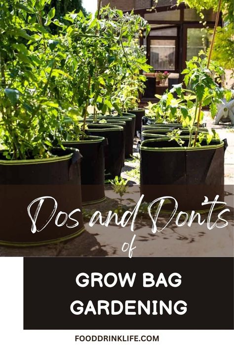 Mastering Grow Bag Gardening: Essential Tips for Urban Gardeners Planting In Grow Bags, Gardening In Grow Bags, Grow Bags Gardening Vegetables, Grow Bag Garden Design, Grow Bags Gardening Ideas, Grow Bag Garden, Fabric Grow Bags, Garden Bags, Garden Solutions