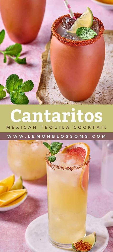 Citrus Tequila Cocktails, Mexico Drinks Cocktails, Mexican Tequila Drinks, Spanish Drinks Alcohol, Tajin Recipes Drink, Mexican Candy Cocktail, Mexican Inspired Cocktails, Healthy Tequila Drinks, Mexican Party Drinks