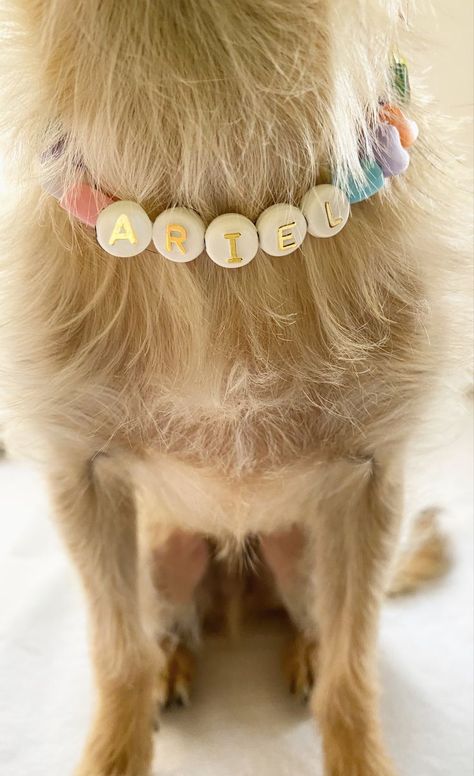 Dog Cute Accessories, Preppy Dog Outfits, Dog Collar Handmade, Charms For Dog Collar, Dog Jewelry For Dogs, Dog Beads Collar, Friendship Bracelet Dog Collar, Dog Necklace Beads, Cute Collars For Dogs