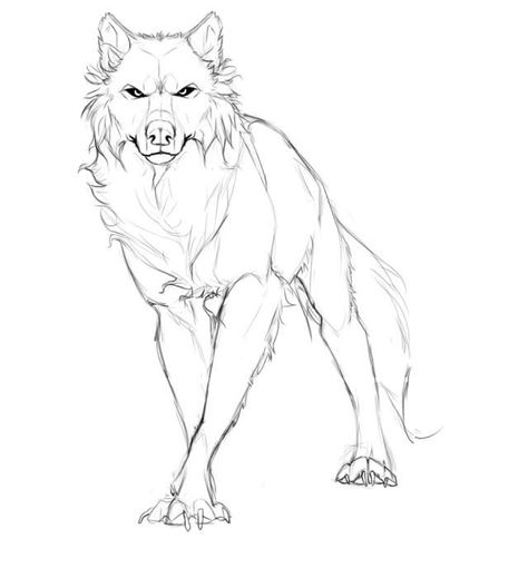 Drawing Wolf, Wolf Poses, Wolf Sketch, Wolf Tattoo Design, Canine Art, Wolf Drawing, Wolf Tattoos, A Wolf, Animal Sketches