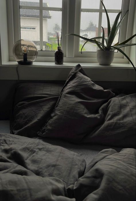 grey satin sheets & aloe vera plants. gloomy rainy day, dark, comfy autumn/winter aesthetic. bedroom interior design inspiration. Dark Grey Bedding Ideas Modern, Grey Sheets Aesthetic, Black Satin Sheets Bedroom, Dark Bed Sheets Aesthetic, Black Bedsheet Aesthetic, Black Bed Sheets Aesthetic, Dark Grey Bedroom Aesthetic, Grey Green Bedroom Ideas, Grey Bedding Aesthetic