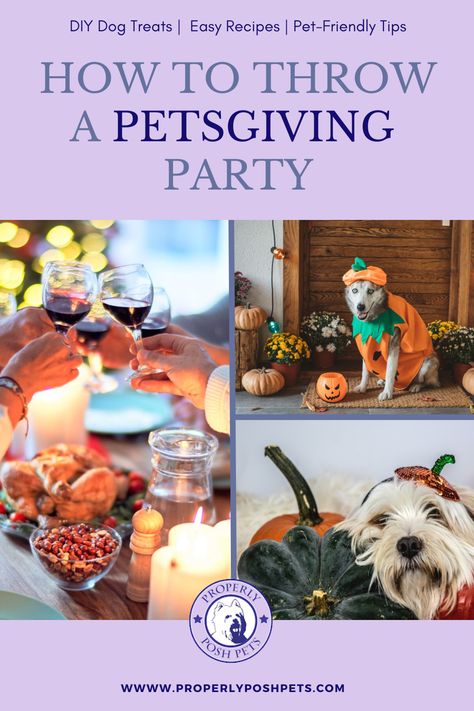 Thanksgiving For Dogs, Dog Thanksgiving Dinner, Dog Thanksgiving Pictures, Diy Dog Treats Easy, Pet Party, Dog Thanksgiving, Pumpkin Pie Mix, Pet Essentials, Thanksgiving Dinner Recipes