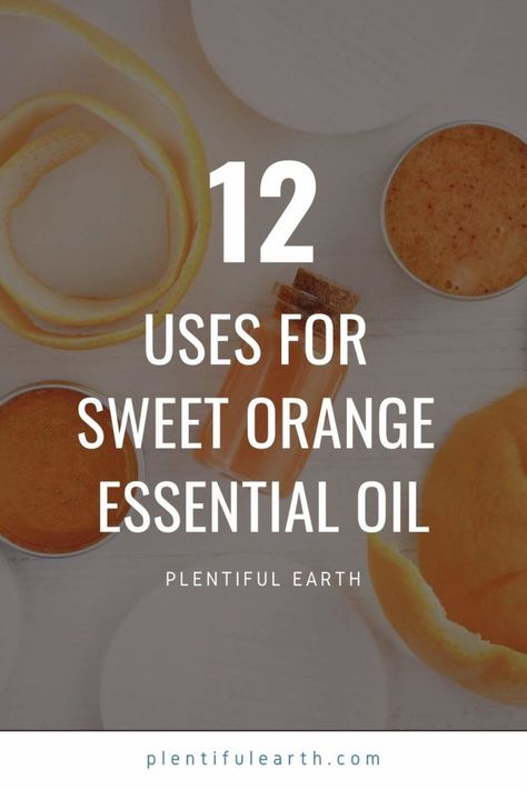 Benefits Of Orange Essential Oil, Sweet Orange Essential Oil Blends, Sweet Orange Essential Oil Benefits, Orange Oil Uses, Orange Essential Oil Uses, Orange Essential Oil Benefits, Fragrance Oil Recipes, Orange Essential Oil Blends, Orange Cleaner