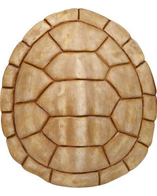 Shell Wall Decor, Native Drawings, Tortoise Drawing, Sea Turtle Artwork, Clay Turtle, Shell Drawing, Turtle Tattoo Designs, Coconut Shell Crafts, Ceramic Shell