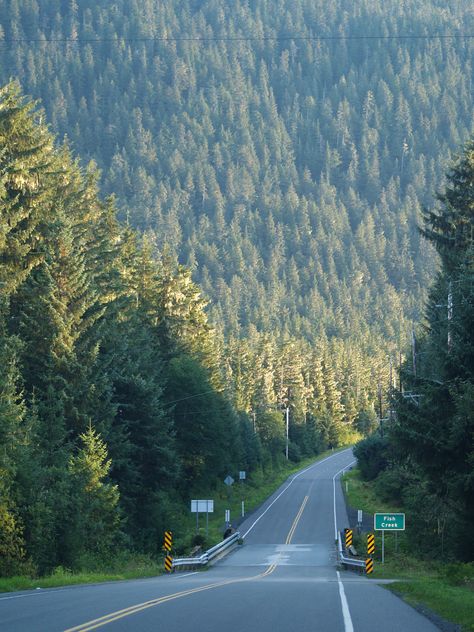 Late August light on North Douglas Island, Juneau, Alaska End Of August Aesthetic, Juneau Alaska Aesthetic, Late August Aesthetic, August Asethic, Alaska Aesthetic, August Aesthetic, Southeast Alaska, Blonde Photography, Alaska Photography