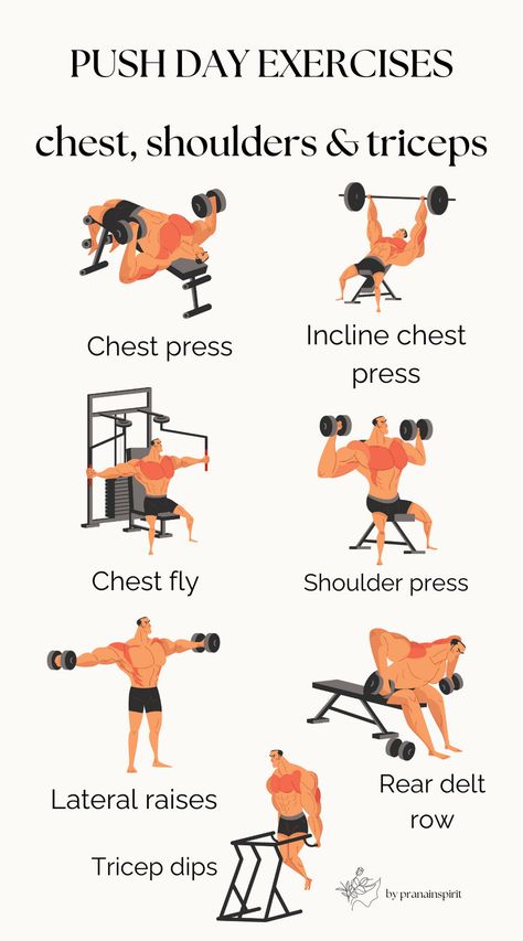 Great strength exercises for your chest, triceps and shoulders!

#gym #gymexercises #gymworkout #pushday #upperbodyworkout #fitness #lifting #strengthtraining Chest Workout Women Gym Weights, Chest And Tricep Warmup, Chest Workout Women Gym, Workout Women Gym, Chest Workout Women, Gym Exercises, Push Day, Strength Exercises, Chest Fly