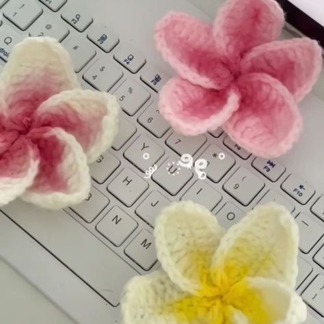 Crochet flower hair clip is available 🌸 Price : 350da Livraison disponible 🇩🇿58w . . . #algeria #dzpower #aesthetics #hairclips Crochet Hair Flowers, Crochet Flower Clip, Crochet Flower Hair Clips, Crochet Hairclip, Hair Clips Crochet, Crochet Clips, Hair Clip Crochet, Crochet Clip, Crochet Hair Clip