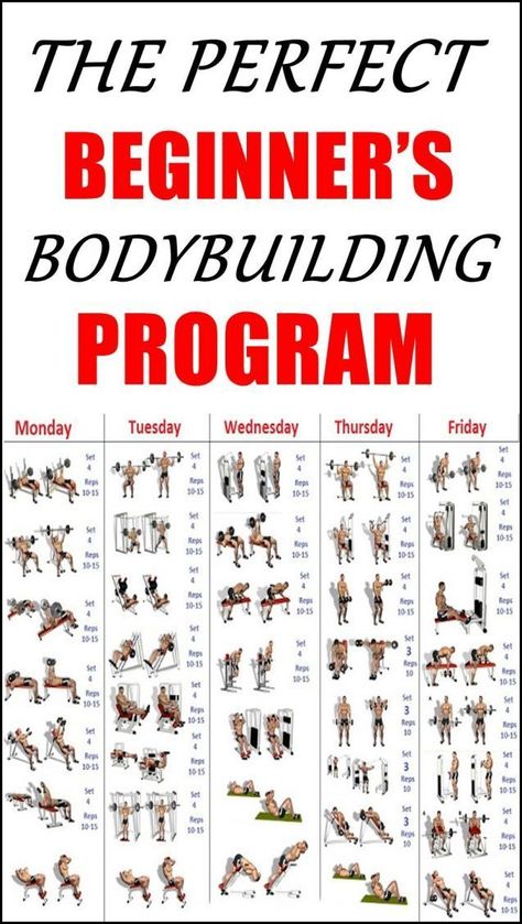 Beginner Workout For Men, Beginner Exercise, Bodybuilding Tips, Workout Gym Routine, Workout Plan For Men, Gym Plan, Bodybuilding Program, Gym Workout Planner, Pallet Beds