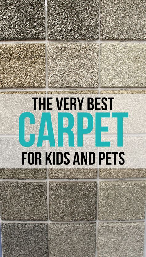 Carpet Diy, Basement Carpet, Neutral Carpet, Carpets For Kids, Carpet Stores, Kids And Pets, Date Photo, Blue Carpet, Home Carpet