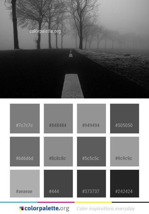 dark, black and white color palette Black And White Color Palette, Color Names Chart, Simple Website Design, White Color Palette, Flat Color Palette, Colors Inspiration, Dark Color Palette, Bedroom Colour Palette, Black Color Palette