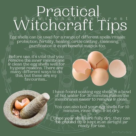 ✨ P𝕣𝕒𝕔𝕥𝕚𝕔𝕒𝕝 W𝕚𝕥𝕔𝕙𝕔𝕣𝕒𝕗𝕥 T𝕚𝕡𝕤✨ Egg shells have so many magickal uses, but before they are used, make sure they have been cleansed and the inner membrane removed so the shells are hygienic. There are...