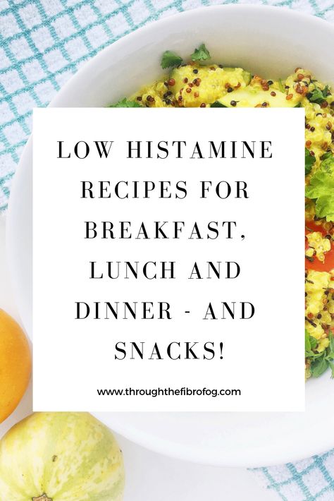 Mcas Low Histamine Recipes, Low Histamine Aip Recipes, Low Histamine Keto Recipes, Paleo Low Histamine Recipes, Low Antihistamine Diet, Low Histamine Recipes Lunch, Low Histamine Snack Ideas, Gluten Free Low Histamine Recipes, Mold Free Diet Recipes