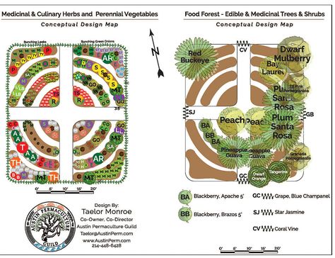 Permaculture Design: Raised Beds and Food Forest  |  Central Texas Gardener Good Forest Layout, Food Forest Guilds, Small Food Forest, Permaculture Guilds, Food Forest Layout, Permaculture Design Layout, Food Forest Design, Houston Garden, Food Forest Garden