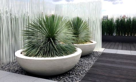 #backyardideas #patioideas #planterideas #planterboxes Large Garden Pots, Modern Planters Outdoor, Large Outdoor Planters, Contemporary Planters, Potted Plants Outdoor, Contemporary Garden, Outdoor Pots, Modern Planters, Outdoor Gardens Design