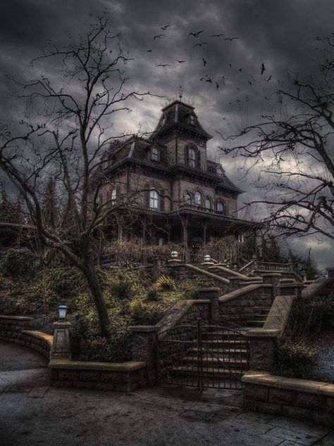 Phantom Manor: A Gothic Horror Story | Phantom Manor Legends Scary Houses, Creepy Houses, Norman Bates, Abandoned Mansion, Spooky Places, Spooky House, رعب نفسي, Bates Motel, 다크 판타지