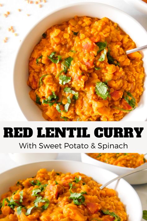 This Red Lentil Curry With Sweet Potato and Spinach recipe is vegan, gluten-free, and a nourishing cold-weather dish! It's ready in just 30 minutes! Spinach And Potato Recipes, Red Curry Lentils, Sweet Potato Chickpea Curry, Sweet Potato Lentil Curry, Spinach Recipes Vegan, Red Lentil Curry, Curried Lentil Soup, Healthy Vegan Dinner Recipes, Spinach Recipe