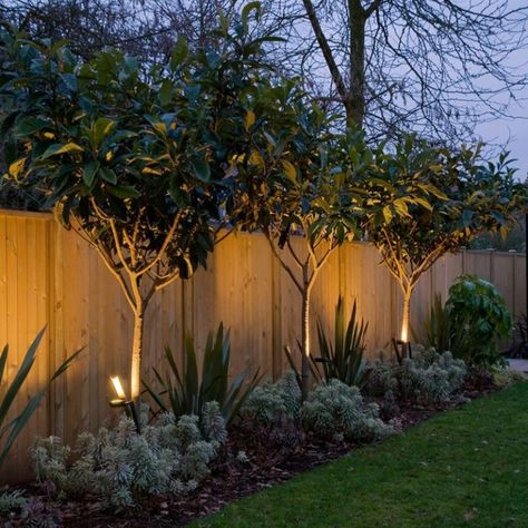 Backyard Fence Decor, Landscaping Along Fence, Garden Lighting Design, Fence Plants, Backyard Trees, Backyard Plants, Outdoor Lighting Landscape, Fence Landscaping, Backyard Lighting